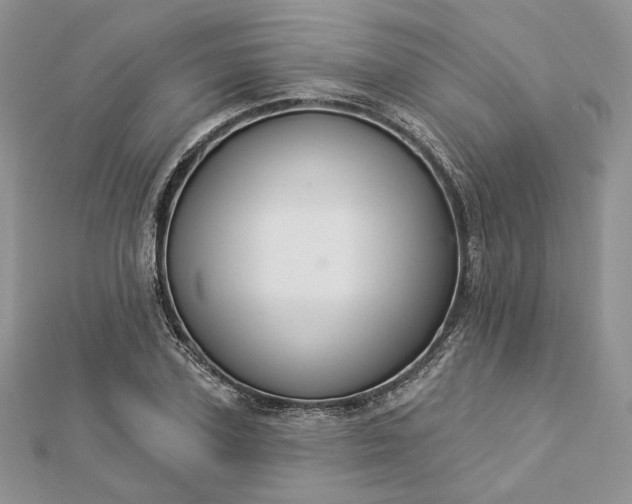 X0000112890931200909041659