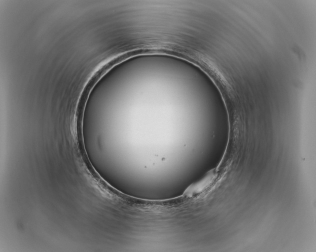 X0000112890932200909041659