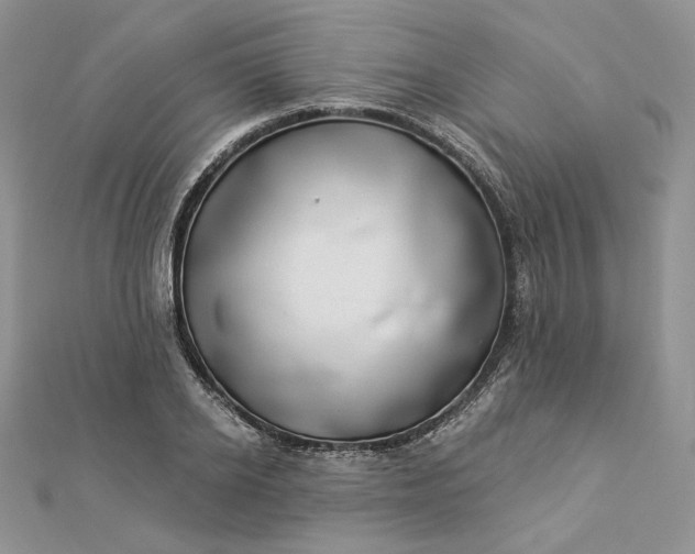 X0000112890934200909041659