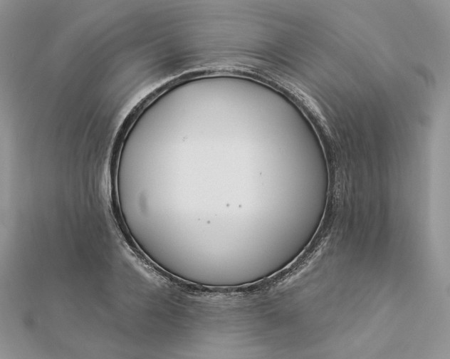 X0000112890936200909041659