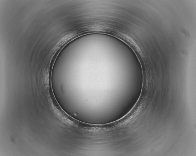 X0000112890938200909041659