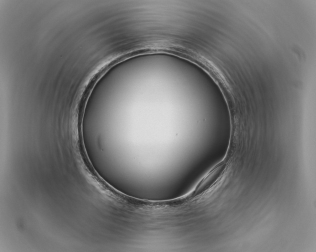 X0000112890939200909041659