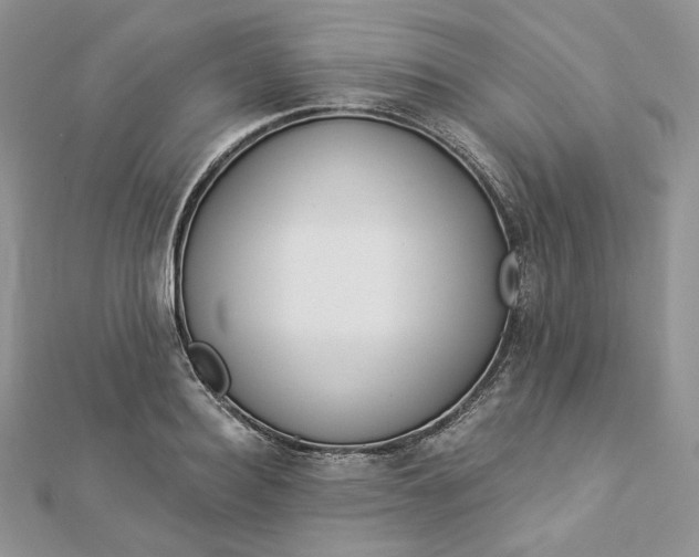 X0000112890940200909041659