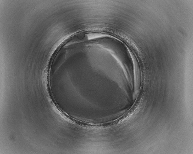 X0000112890941200909041659