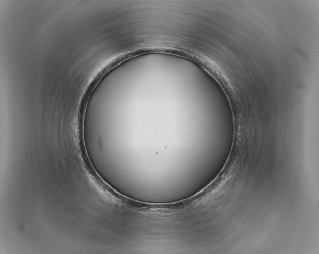 X0000112890942200909041659