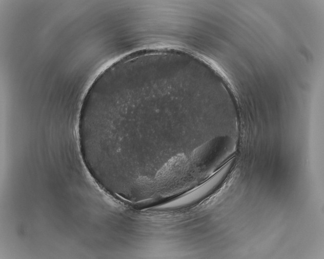 X0000112890943200909041659