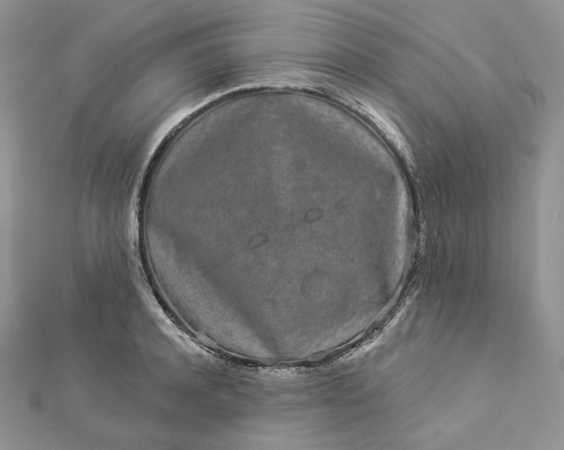 X0000112890944200909041659