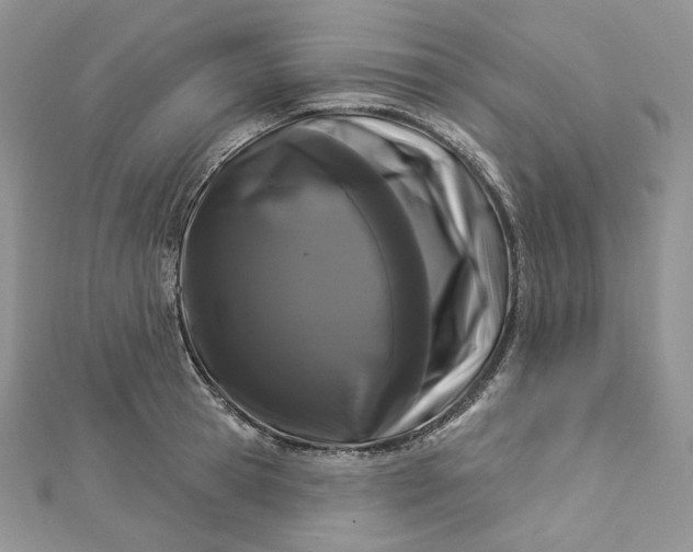 X0000112890945200909041659