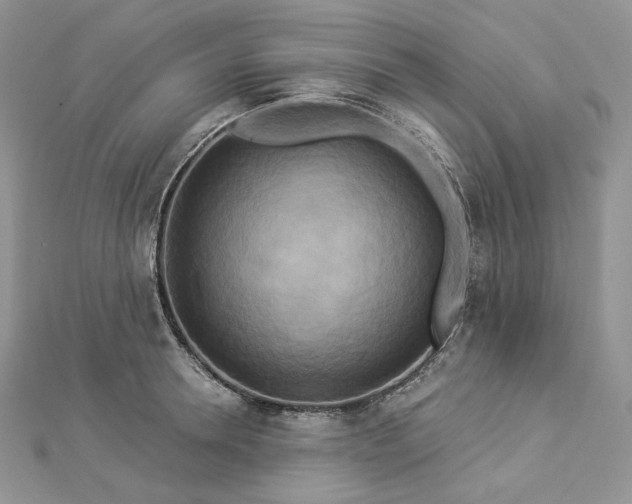 X0000112890946200909041659
