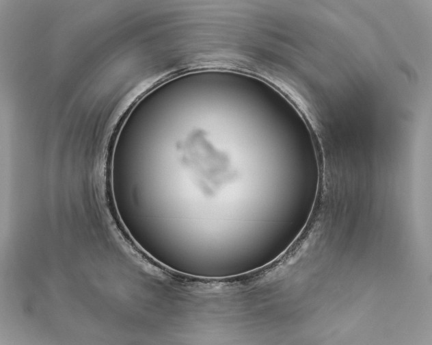 X0000112890949200909041659