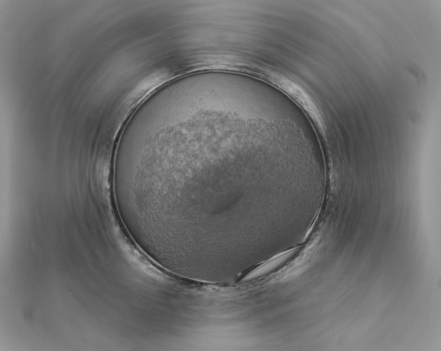 X0000112890954200909041659