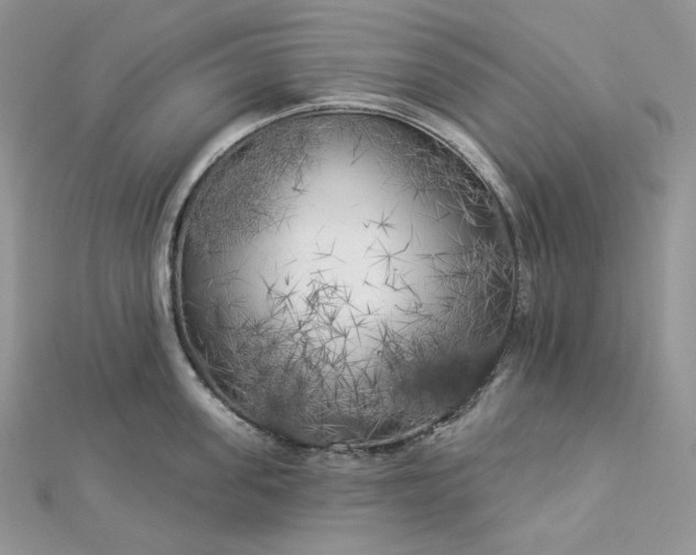 X0000112890955200909041659