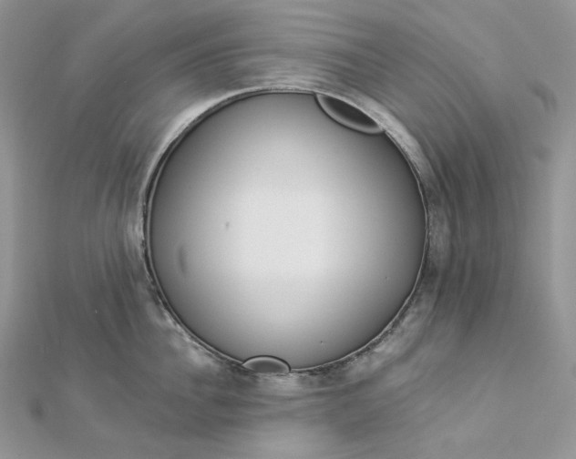X0000112890956200909041659