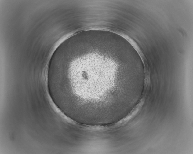 X0000112890957200909041659