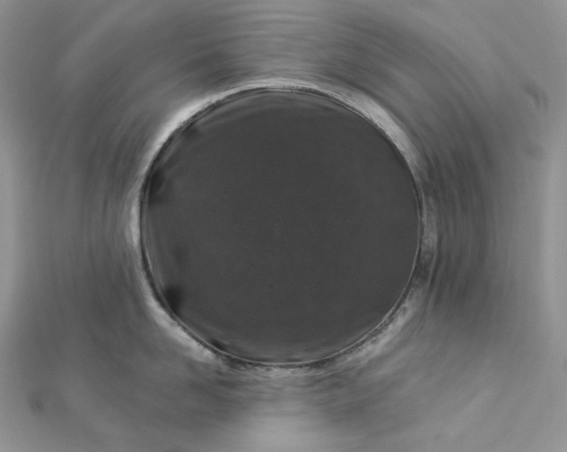 X0000112890958200909041659