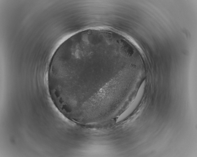 X0000112890959200909041659