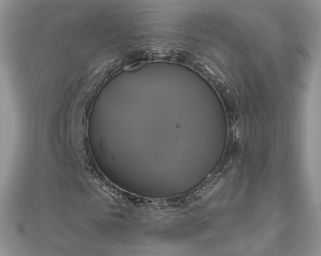 X0000112890961200909041658