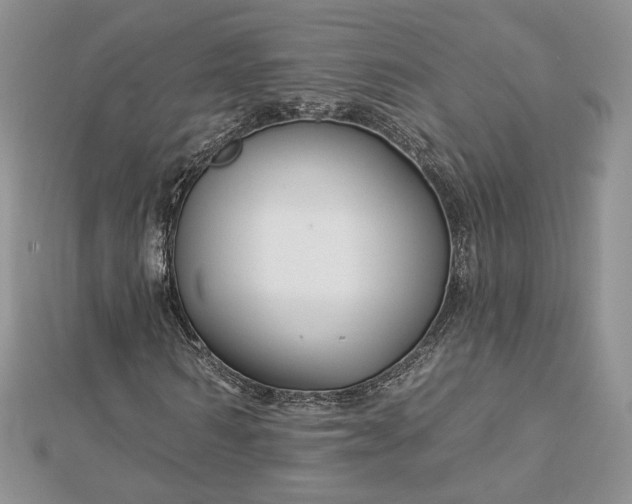 X0000112890962200909041658