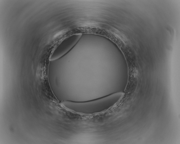 X0000112890965200909041658
