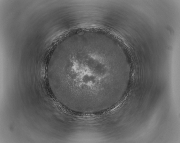 X0000112890966200909041658