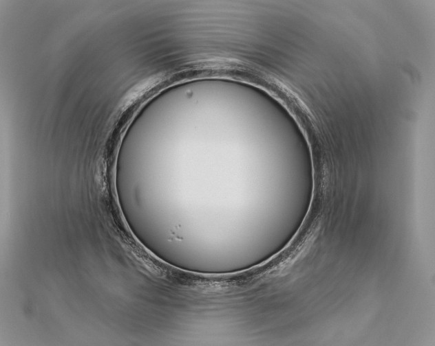 X0000112890970200909041658