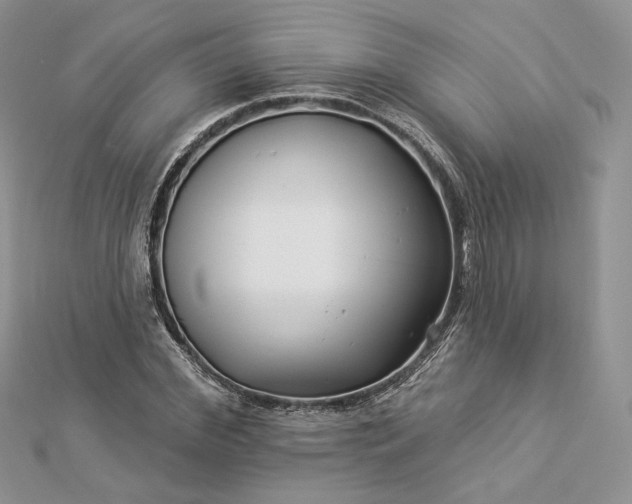 X0000112890972200909041658