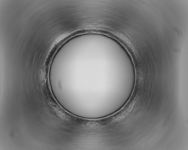 X0000112890974200909041658