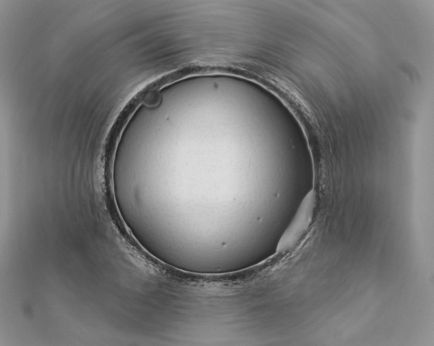 X0000112890976200909041658