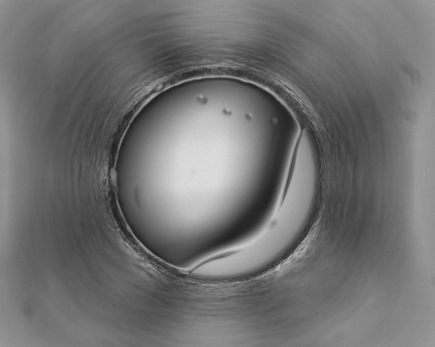 X0000112890977200909041658