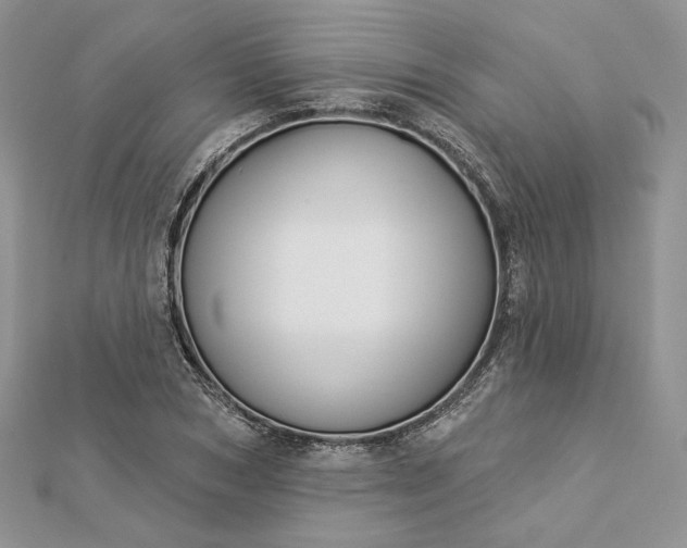 X0000112890978200909041658