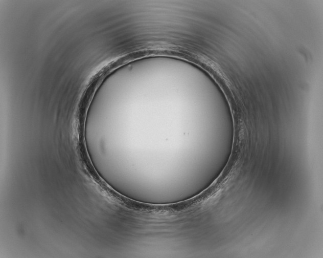 X0000112890979200909041658