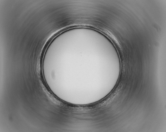 X0000112890980200909041658