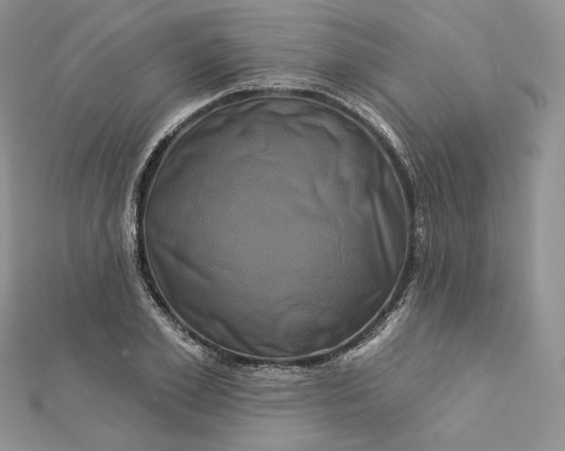 X0000112890981200909041658