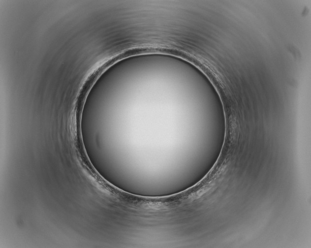 X0000112890982200909041658