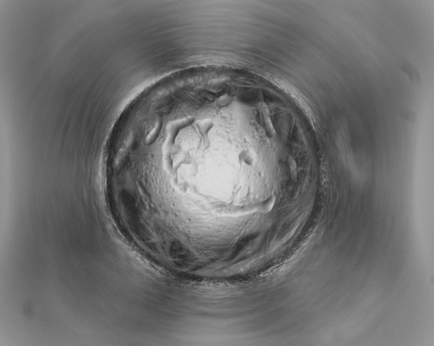 X0000112890983200909041658