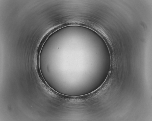X0000112890984200909041658