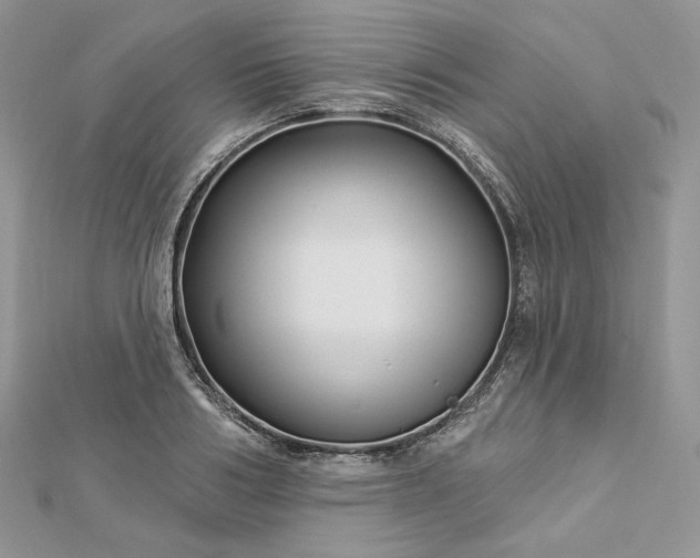 X0000112890986200909041658