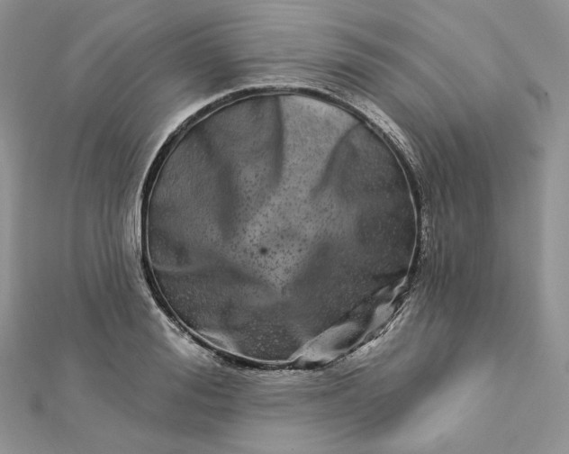 X0000112890988200909041658