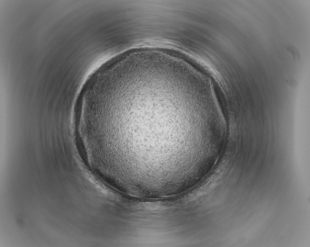 X0000112890990200909041658