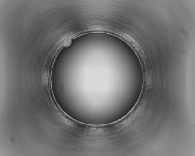 X0000112890993200909041658