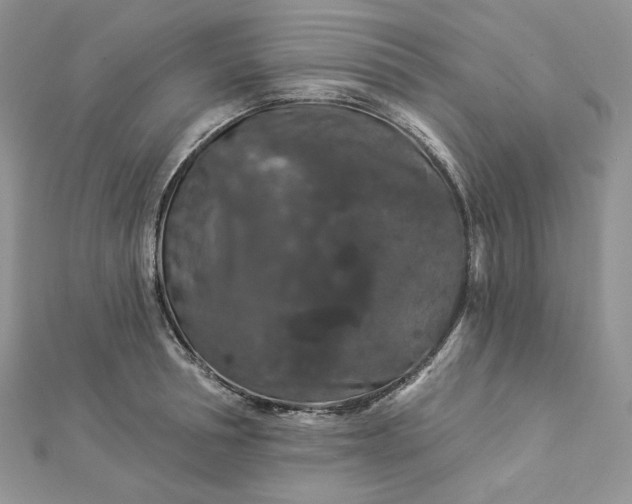 X0000112890994200909041658