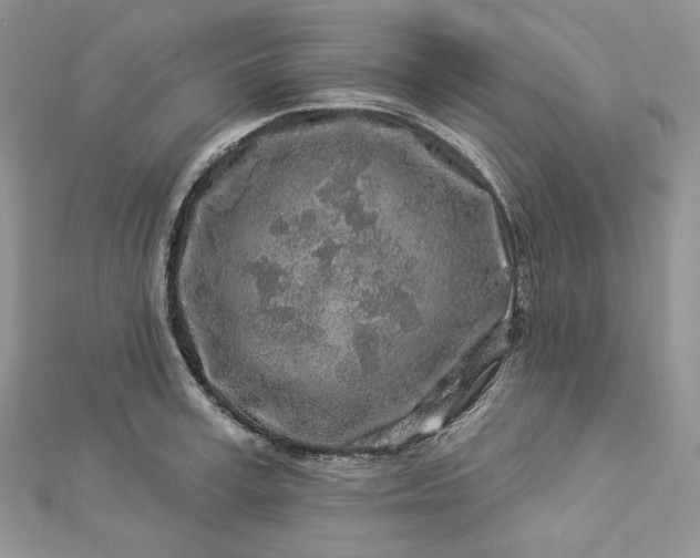 X0000112890995200909041658