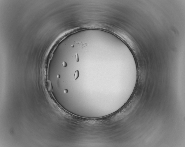 X0000112891000200909041658