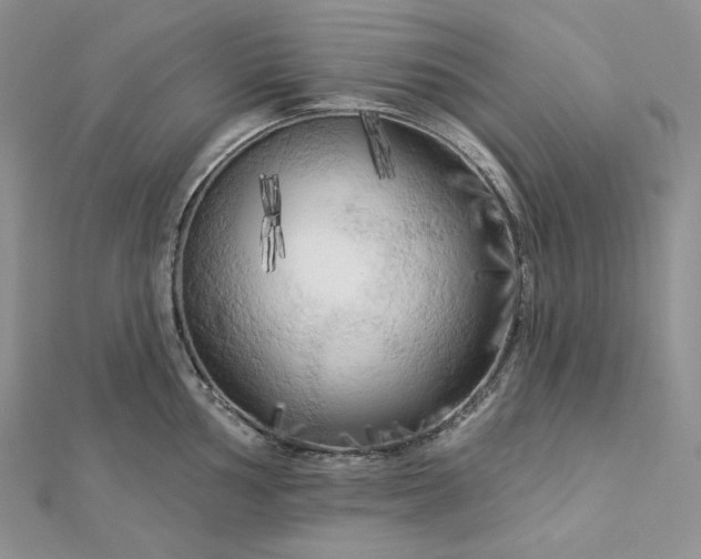 X0000112891002200909041658