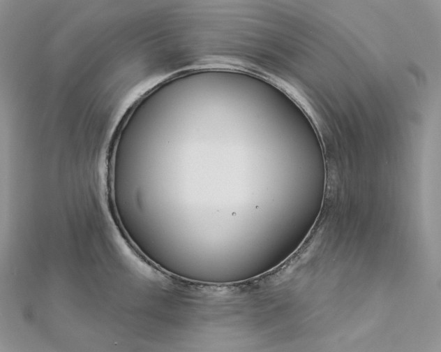 X0000112891003200909041658