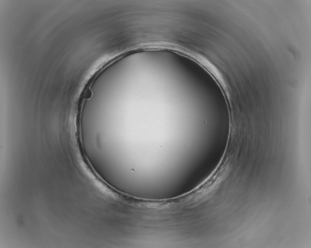X0000112891005200909041658