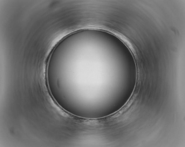 X0000112891006200909041658