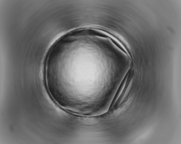 X0000112891007200909041658