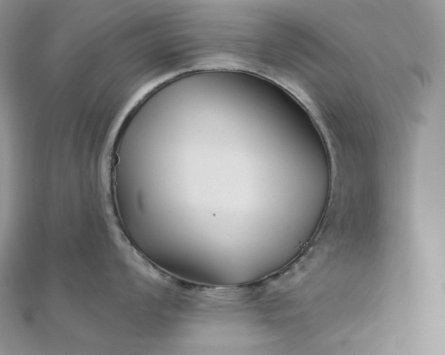 X0000112891008200909041658