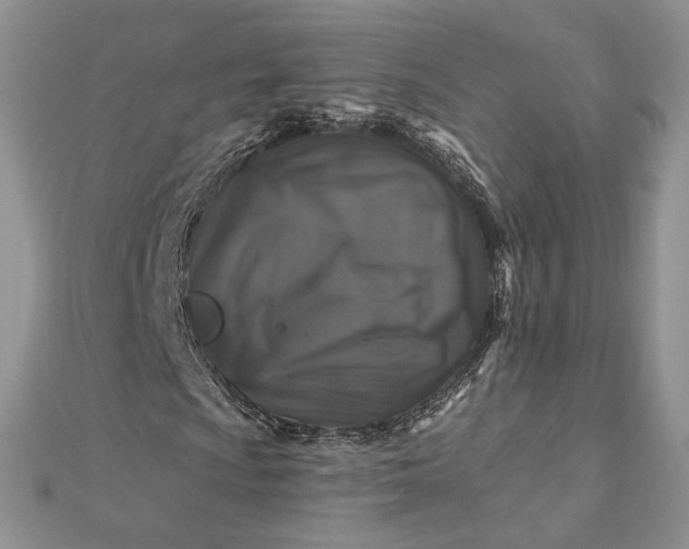 X0000112891009200909041657